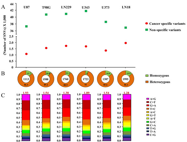 Cancer-specific mutation quality statistics: A.