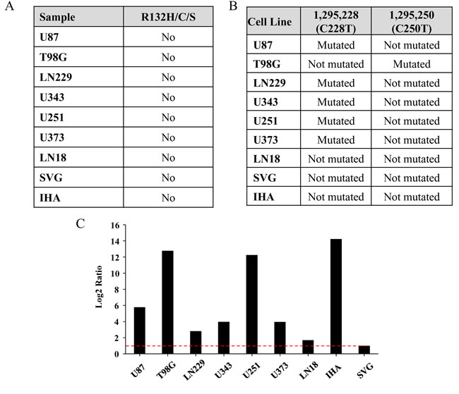 Mutation status of IDH1 and hTERT promoter in the cell lines.