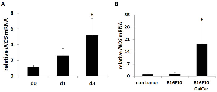 Up-regulation of iNOS expression after GalCer administration in tumor-bearing mice.