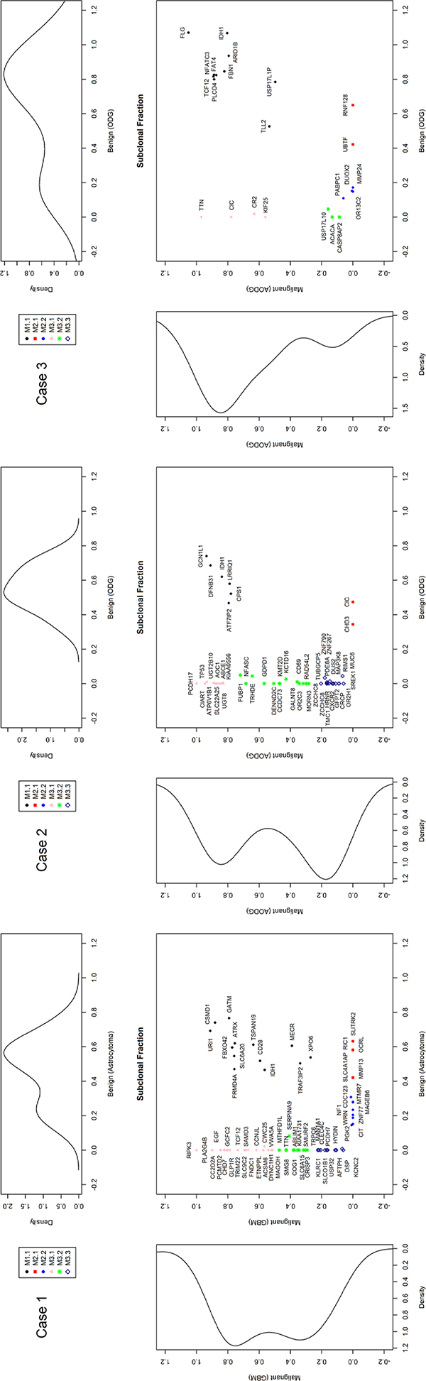 Estimated clonal fractions and their genetic signatures based on somatic point mutation allele frequency and copy number status.