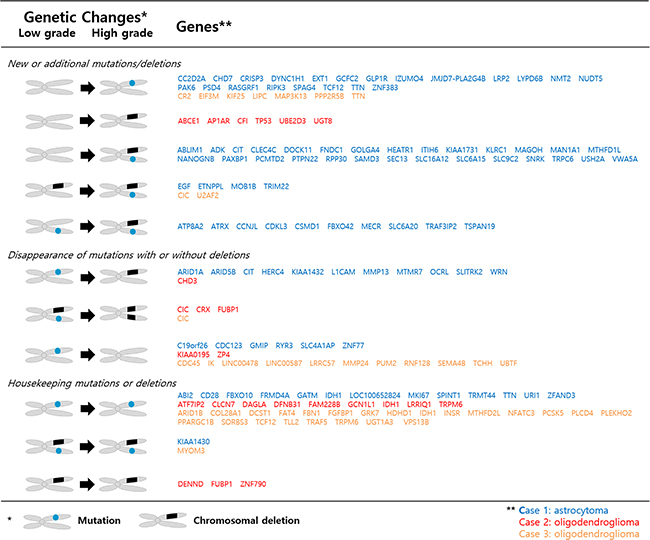 Subclone defining genes involved in genetic changes during malignant transformation.