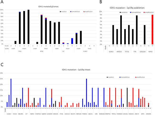 Frequency of genetic alterations of genes showing disparity according to the histological grade in the TCGA database among those with novel or additional mutations and/or copy number alterations observed in the present study.