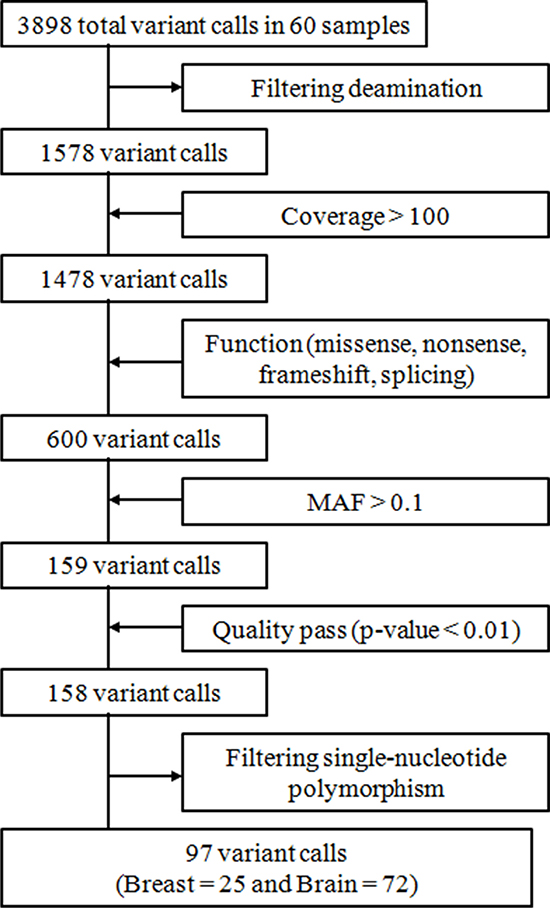 Summary of variant call processing.