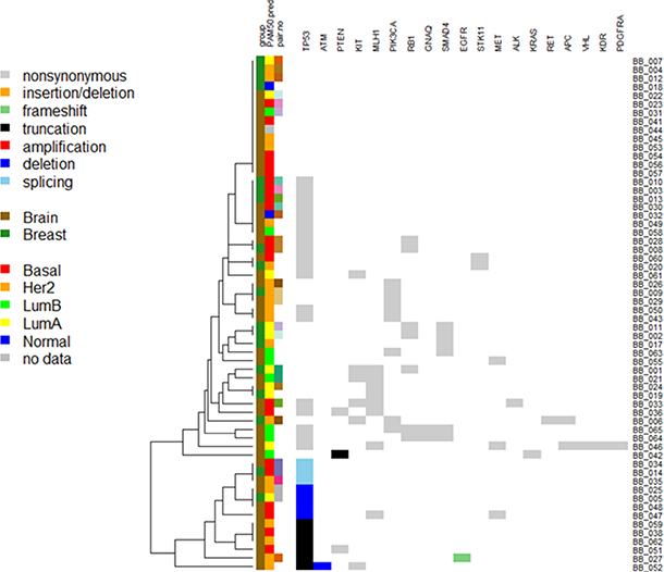 Heatmap of the mutations found in 60 patients.