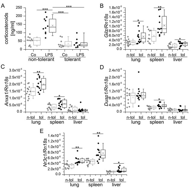 Endogenous corticosteroid levels and GR-mediated transcription in LPS-sensitive and LPS-tolerized WT mice.