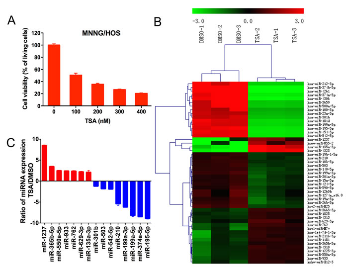 The influence of TSA on miRNA expression in MNNG/HOS cells.