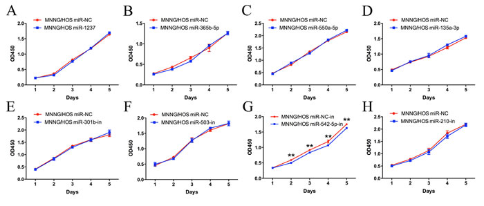 Functional screening of eight candidate miRNAs in the MNNG/HOS cell line.