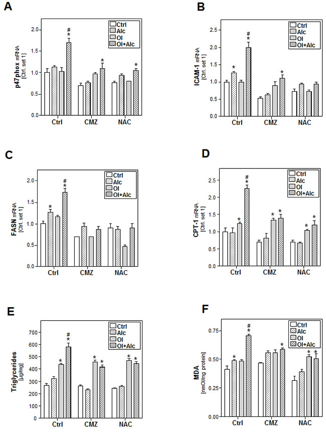 Analysis the effect of inhibition of CYP2E1 activity or ROS production on the effects of alcohol and oleate on hepatocellular lipid metabolism and pro-inflammatory gene expression.