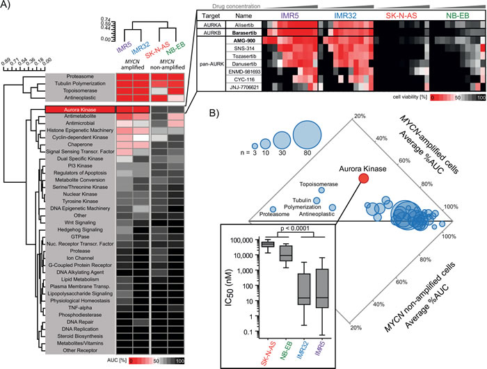 Drug screening of 465 oncology-relevant small molecules demonstrated selective activity of aurora kinases-targeting inhibitors in