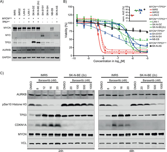 AURKB expression in cell line panel and drug response to barasertib.