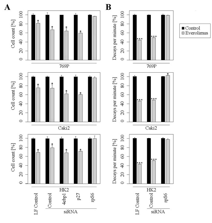 rpS6 mediates the inhibitory effects of Everolimus.