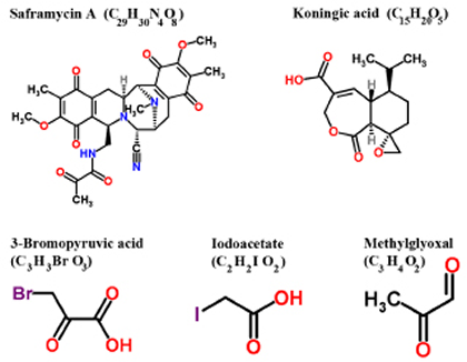 Structure of various inhibitors of GAPDH with anticancer effects in preclinical models (Reproduced with permission of RSC Worldwide Ltd from http://www.chemspider.com).