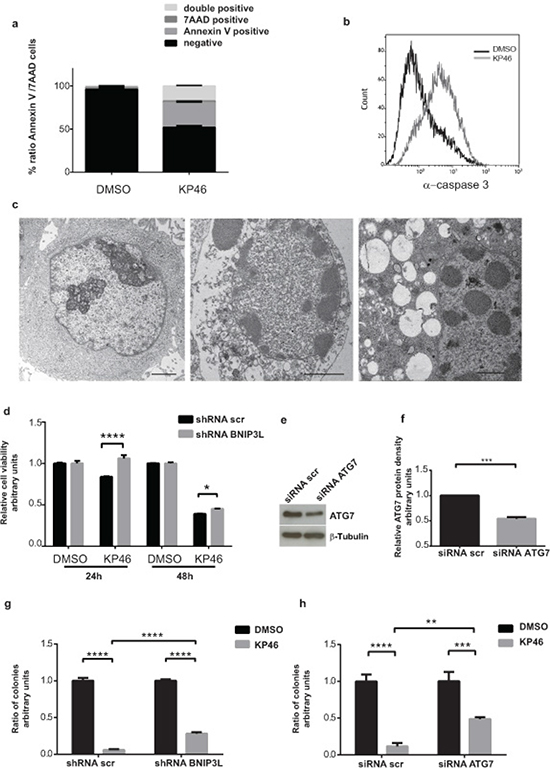 KP46 causes early loss of cell viability and late apoptosis a.