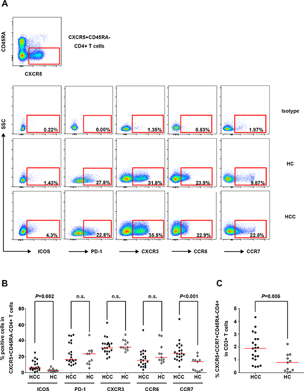 Phenotypic marker expression on circulating CXCR5+CD45RA&#x2212;CD4+ T cells in HCC and HC.