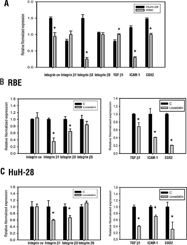 Lovastatin regulates gene expression.