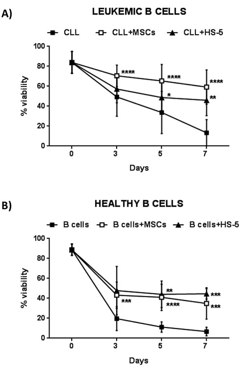 MSCs protect CLL B cells from spontaneous apoptosis.