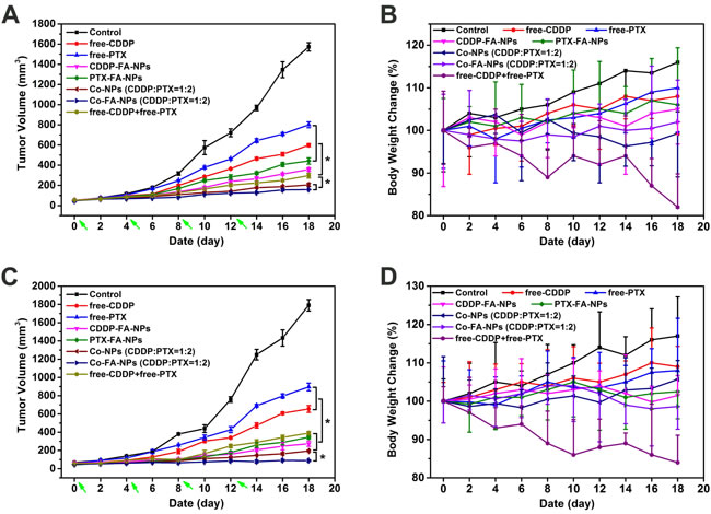 After PBS, free-CDDP, free-PTX, CDDP-NPs, PTX-NPs, Co-NPs and free-NPs + free-PTX treatment, tumor volume
