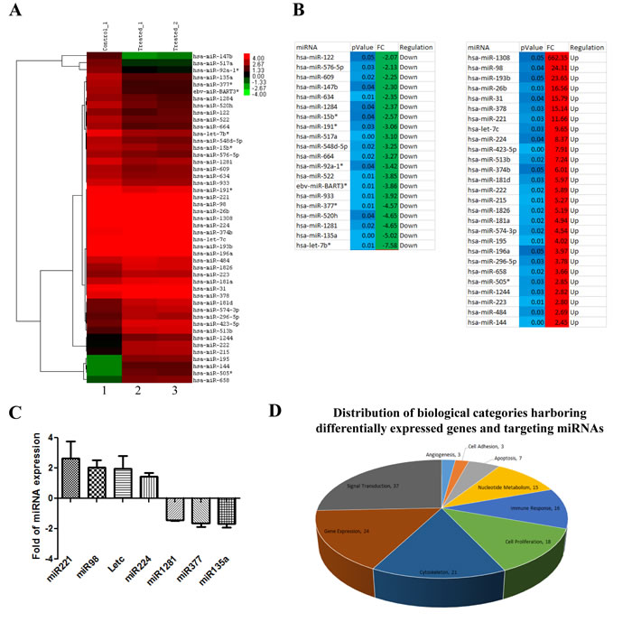 Luteolin mediated p300 acetyltransferase inhibition influences miRNA network correlating to tumor suppression.