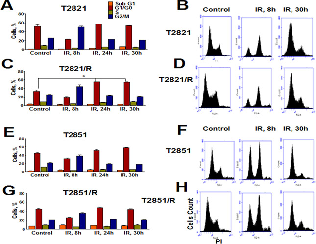 Effect of gamma-radiation on cell cycle distribution in radioresistant and parental lung adenocarcinoma cells.