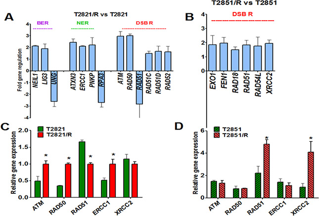 Changes in DNA repair genes associated with the IR-resistant phenotypes of T2821/R and T2851/R cells.