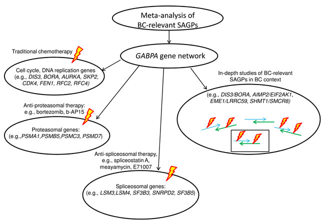 Meta-analysis of BC-relevant SAGPs and potential applications.