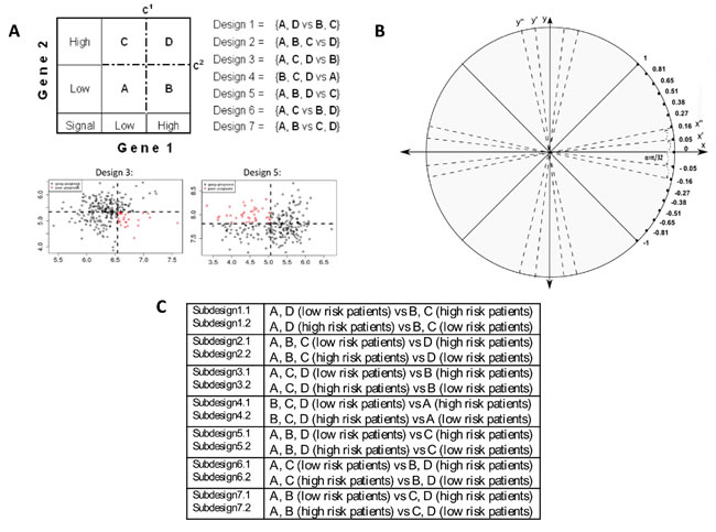 2-D RDDg: important components of the survival prediction method.