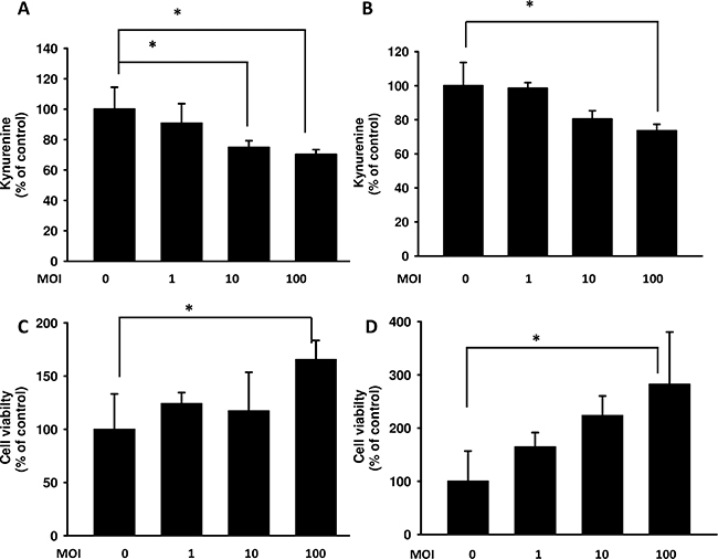 Salmonella (S.C.) regulated kynurenine and its impact on T cell survival.