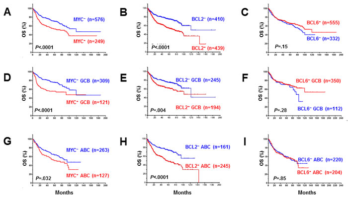Univariate analysis for DLBCL patients with MYC, BCL2 and BCL6 protein expression in the overall-, GCB, and ABC-DLBCL.