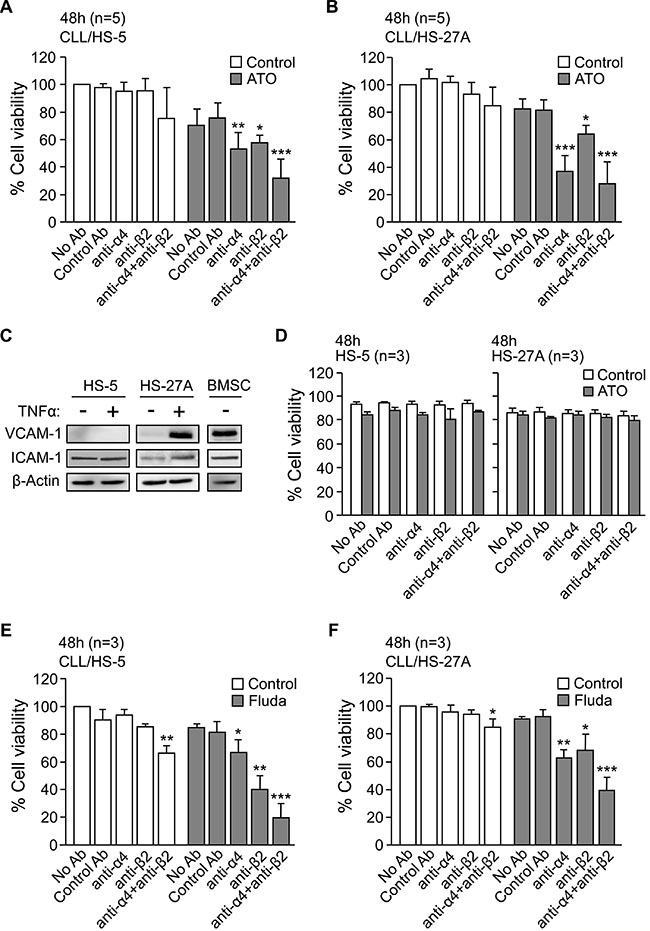 Blocking &#x03B1;4&#x03B2;1 and &#x03B1;L&#x03B2;2 integrins in CLL-stromal cell co-cultures sensitizes CLL cells to ATO and fludarabine.