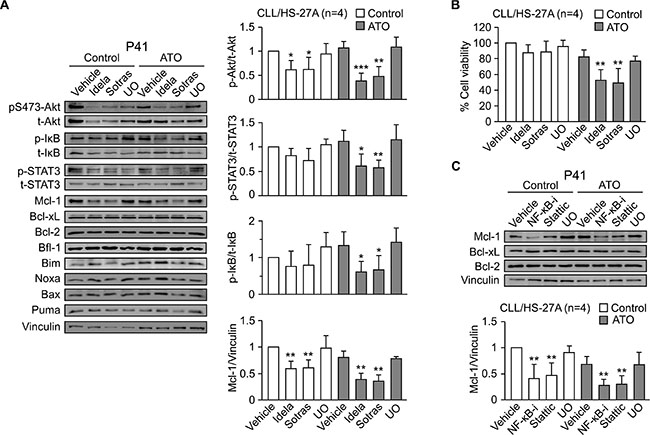 Blocking the PI3K&#x03B4;/PKC&#x03B2; signaling pathways downregulates Mcl-1 and sensitizes stroma-cultured CLL cells to ATO.