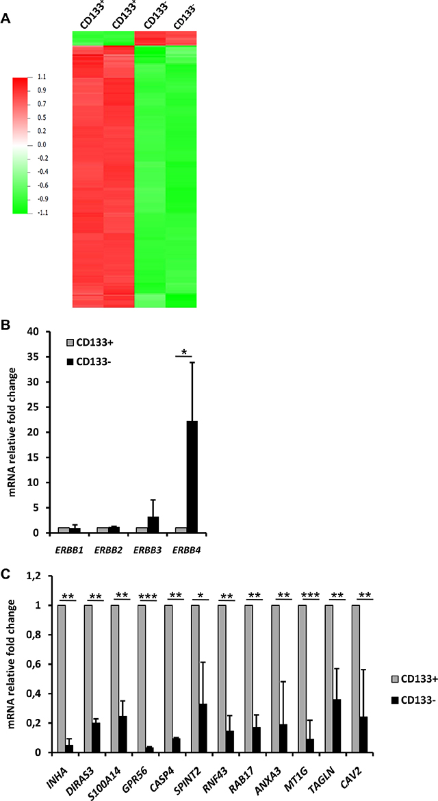 mRNA expression profiles of RCC41-PDX-2/CD133&#x2013; and RCC41-PDX-2/CD133+ subsets.