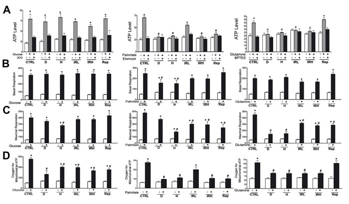 Evaluation of metabolic activity in senescent cells.