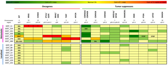 Mutational profile of KIT-mutated GIST.