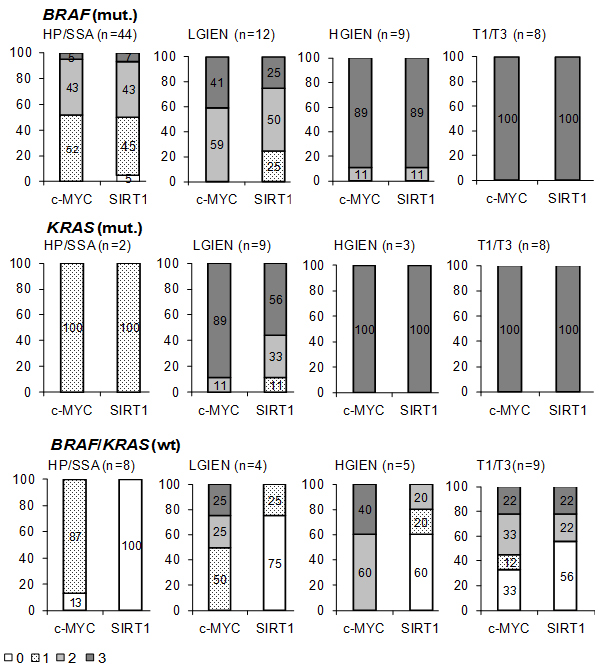 Summary of c-MYC and SIRT1 expression in different groups of serrated lesions and carcinomas expressing mutant or wild type