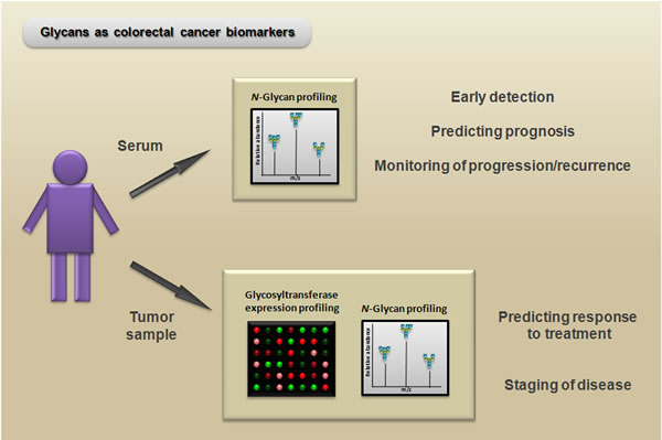 Potential biomarker and therapeutic applications of