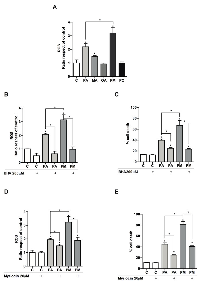Effect of the antioxidant BHA and the SPT inhibitor myriocin in PA and PA plus MA-induced reactive oxygen species and cell death.