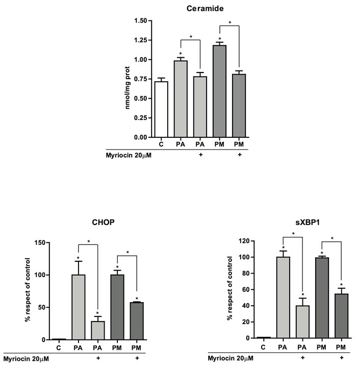 Effect of myriocin on total hepatic ceramide levels and ER stress.
