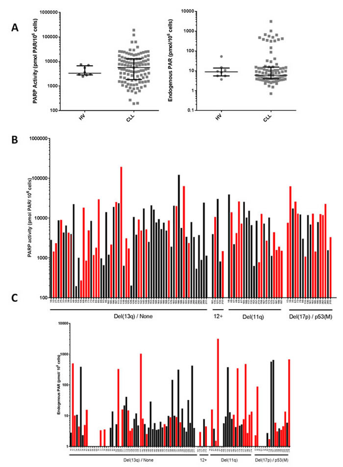 PARP catalytic activity in CLL cells.