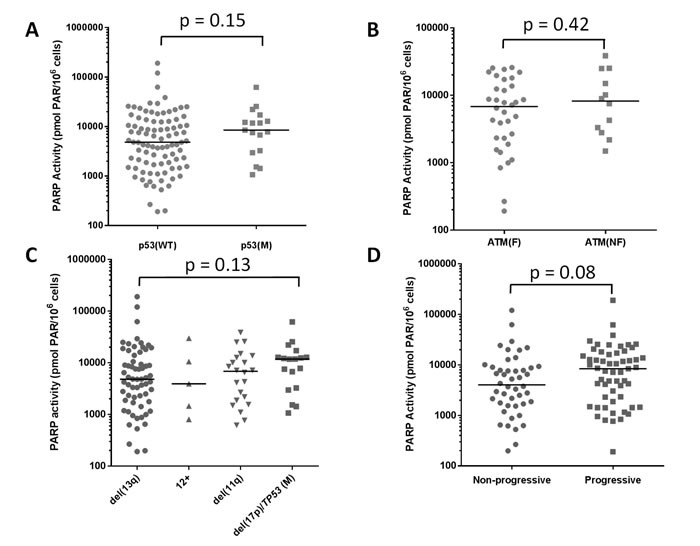 Elevated PARP activity in relation to p53 and ATM function, cytogenetics and disease status.