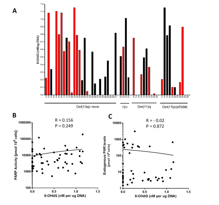 Oxidative DNA damage in relation to cytogenetic abnormalities, PARP activity and endogenous PAR levels.