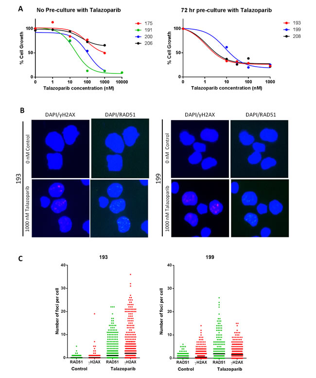 Growth inhibition by potent PARP inhibitor, talazoparib in ATM dysfunctional and HRR functional CLL cells.