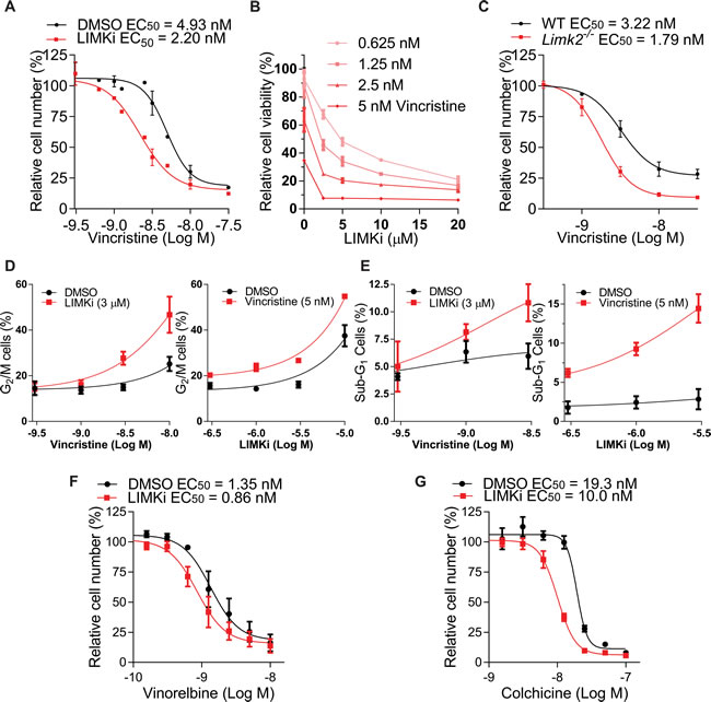 LIMK inhibition combines with microtubule polymerization inhibition.