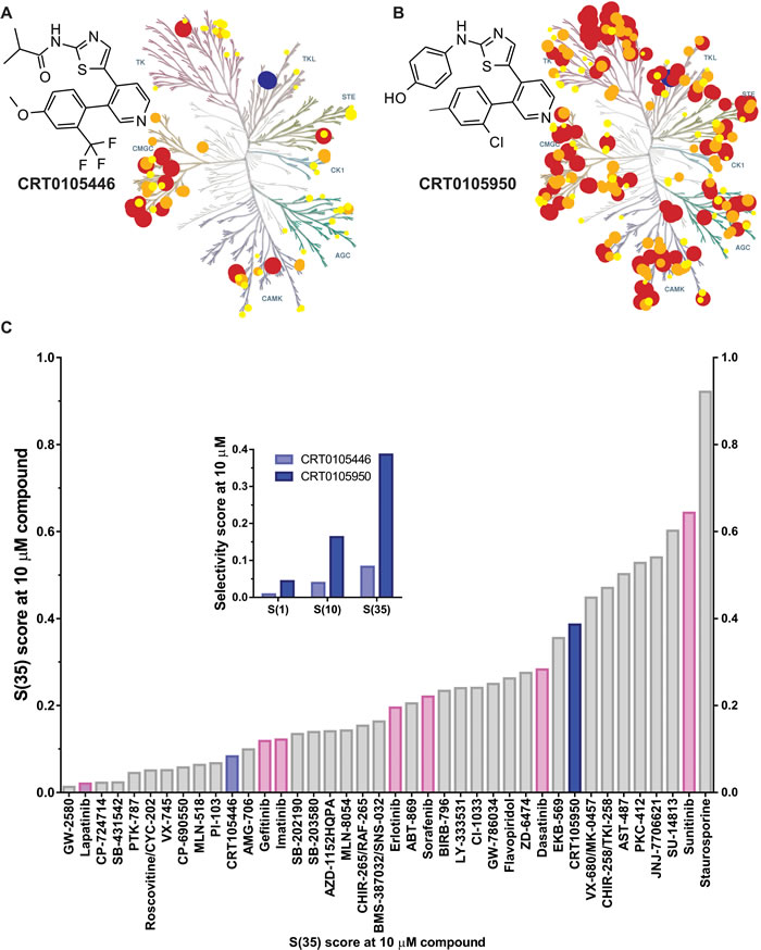 Discovery of novel LIMK inhibitors CRT0105446 and CRT0105950.