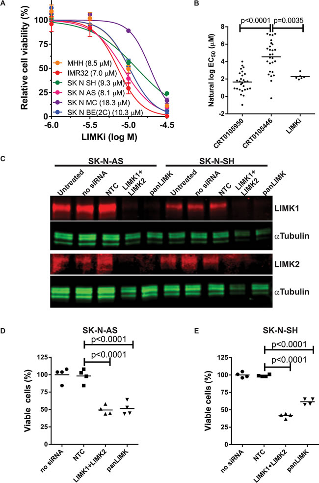 Sensitivity of neuroblastoma cell lines to LIMK inhibition.