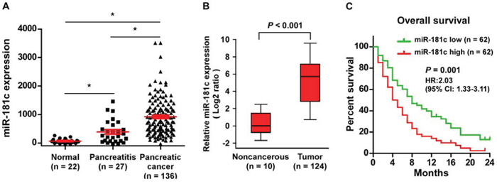 Upregulation of miR-181c correlates with pancreatic cancer progression.