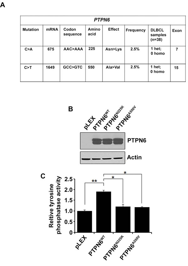 Identification of PTPN6 mutations in DLBCL tumors.