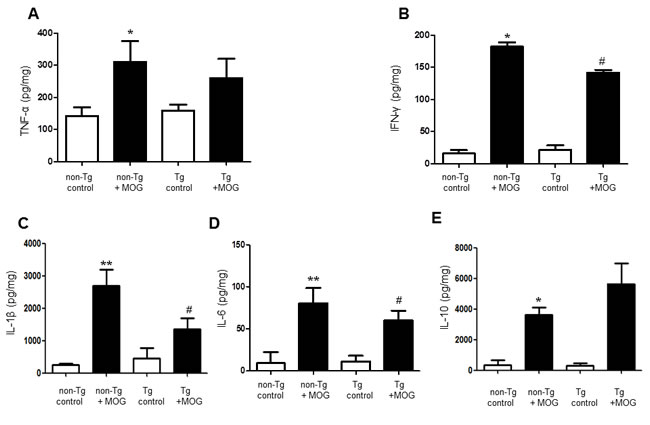Cytokine profile of MOG-induced EAE in non Tg and IL-32&#x3b1; mice.