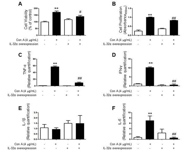 Effect of IL-32&#x3b1; overexpression on cytokine profile and pathogenicity of Con-A treated Jurkat cells.