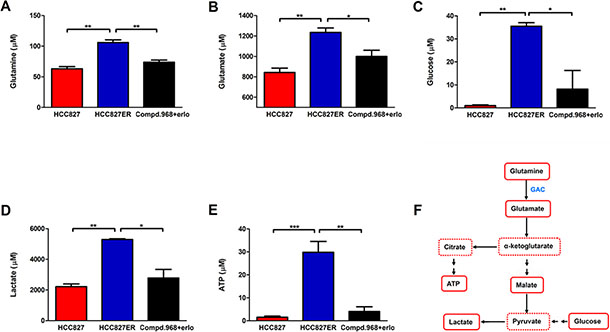 Combination of compound 968 and erlotinib inhibits the glutamine and glycolysis metabolism.