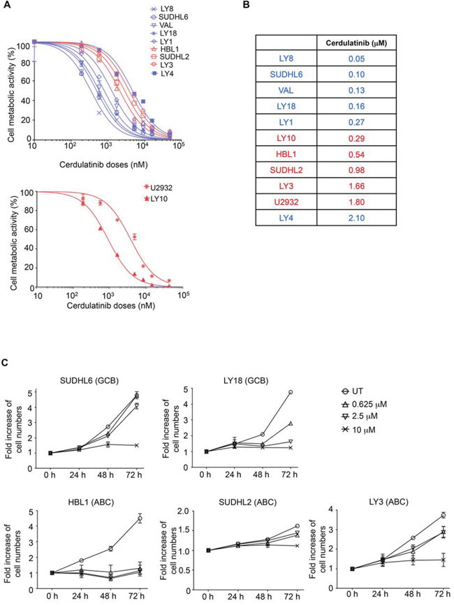 Both ABC and GCB subtypes of DLBCL are sensitive to dual SYK/JAK inhibition with cerdulatinib.